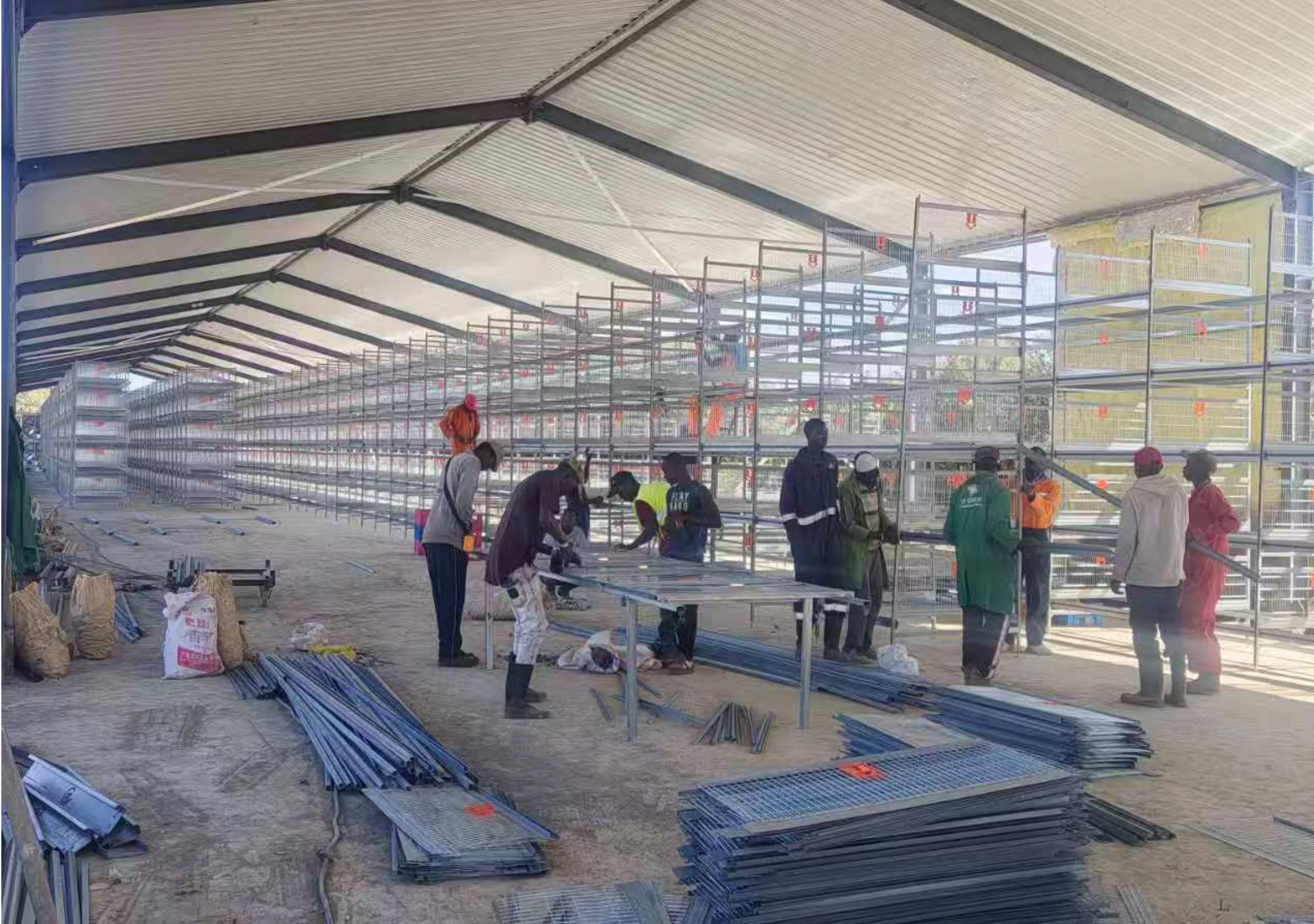 Delivery and Installation of H-Type Layer Chicken Cages